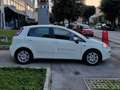 Fiat Punto Punto III 2012 5p 1.3 mjt 16v Street 75cv E5+ Bianco - thumbnail 4