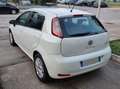 Fiat Punto Punto III 2012 5p 1.3 mjt 16v Street 75cv E5+ Bianco - thumbnail 8