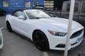 Ford Mustang 2,3 EcoBoost Cabrio Aut. Blanco - thumbnail 3