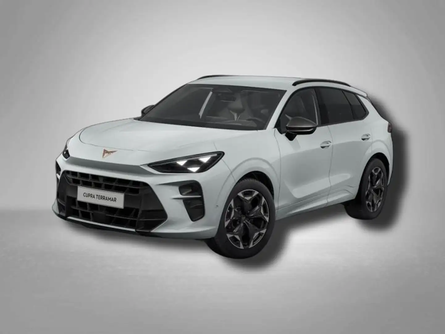 CUPRA Terramar VZ 2.0 TSI 7-Gang-DSG 4Drive 195 kW (265 PS), A... Weiß - 1