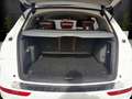Audi Q5 2.0 TDI quattro DPF Navi Leder Bi-Xenon 3-Zonen-Kl Weiß - thumbnail 18