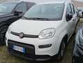 Fiat Panda NEOPATENTATI PANDA 1.0 firefly hybrid  TG: GP871BA Grigio - thumbnail 2
