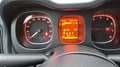 Fiat Panda NEOPATENTATI PANDA 1.0 firefly hybrid  TG: GP871BA Grigio - thumbnail 12