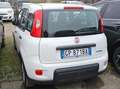 Fiat Panda NEOPATENTATI PANDA 1.0 firefly hybrid  TG: GP871BA Grigio - thumbnail 4