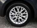 SEAT Ibiza 1.0 TSI FR KAM NAV PDC LED SHZ Grau - thumbnail 16