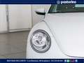 Volkswagen Maggiolino MAGG.CABRIO 1.2 TSI DESIGN 105CV White - thumbnail 5