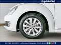 Volkswagen Maggiolino MAGG.CABRIO 1.2 TSI DESIGN 105CV Bianco - thumbnail 6