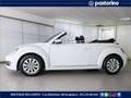 Volkswagen Maggiolino MAGG.CABRIO 1.2 TSI DESIGN 105CV White - thumbnail 7