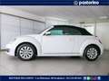 Volkswagen Maggiolino MAGG.CABRIO 1.2 TSI DESIGN 105CV White - thumbnail 8