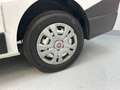 Fiat Talento L1H1 1,2t SX KLIMA AHK PDC Weiß - thumbnail 5