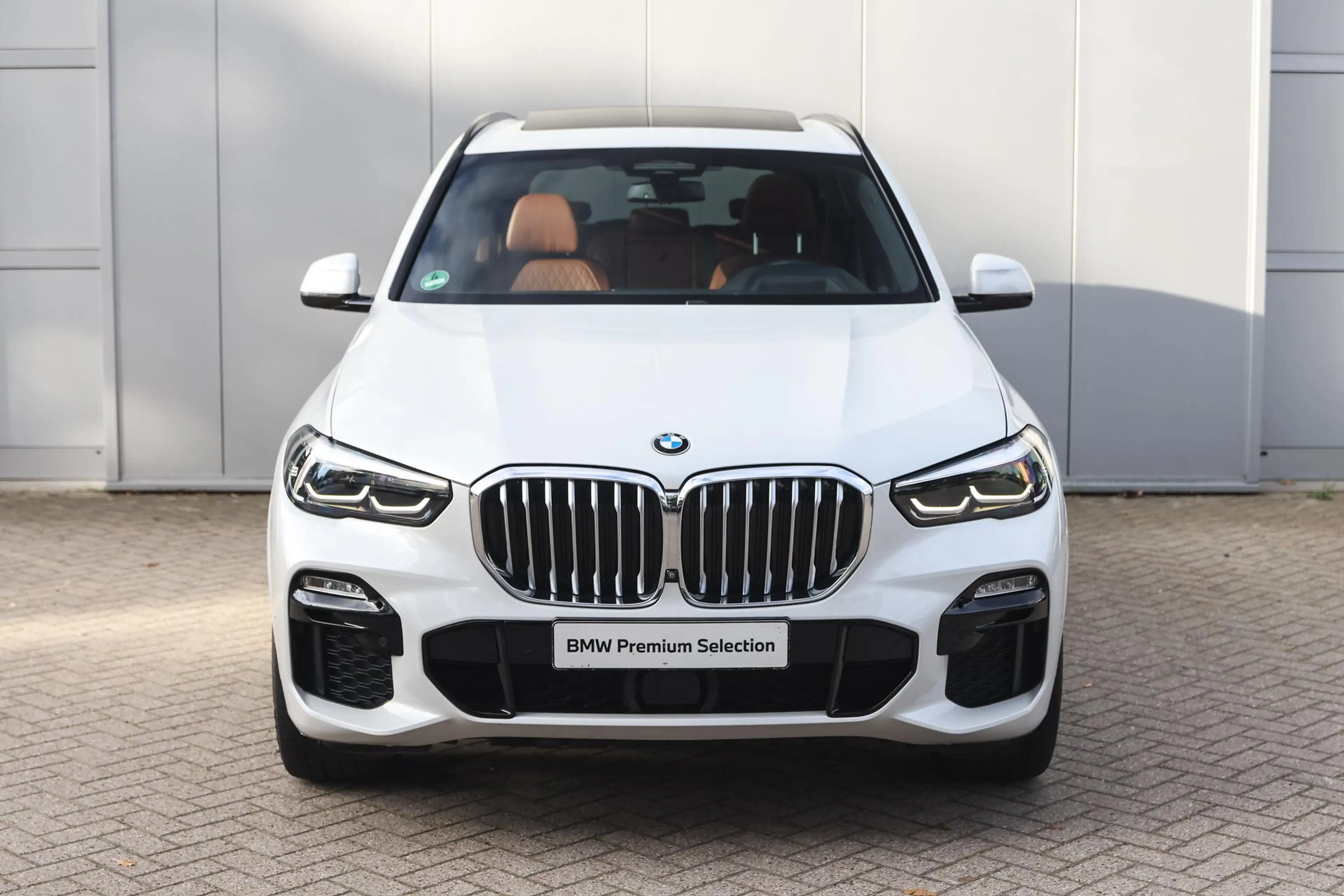 BMW X5 xDrive40i High Executive M Sport Automaat / Trekha — photo 6