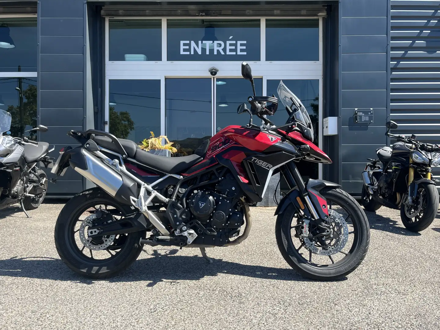 Triumph Tiger 900 - 1