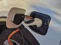 Kia Niro 1.6 GDi Híbrido Enchufable 104kW Drive Blanco - thumbnail 16