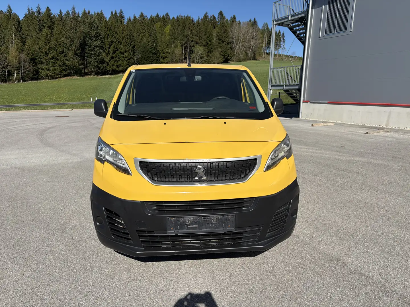 Peugeot Expert Dangel 4x4 Gelb - 2