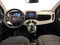 Fiat Panda Panda Cross 1.0 FireFly S&S Hybrid Verde - thumbnail 9