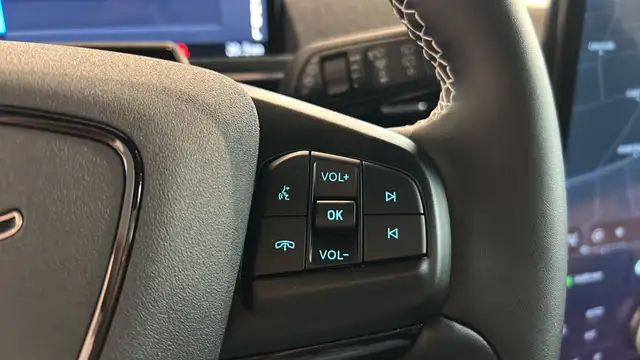 Ford Mustang Mach-E GT AWD Ansicht 31
