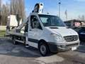 Mercedes-Benz Sprinter 313 CDI F37/35 CESTELLO PIATTAFORMA AEREA Bianco - thumbnail 5