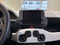 Fiat Panda 1.0 GSE Hybrid Cross Pandina Jaune - thumbnail 13