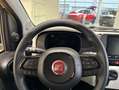 Fiat Panda 1.0 GSE Hybrid Cross Pandina Jaune - thumbnail 12