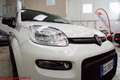 Fiat Panda 1.0 firefly hybrid City Life - Ok neopatentati!!! Bianco - thumbnail 21