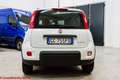 Fiat Panda 1.0 firefly hybrid City Life - Ok neopatentati!!! Bianco - thumbnail 18