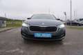 Skoda Octavia 2,0 TDI Business Grau - thumbnail 1