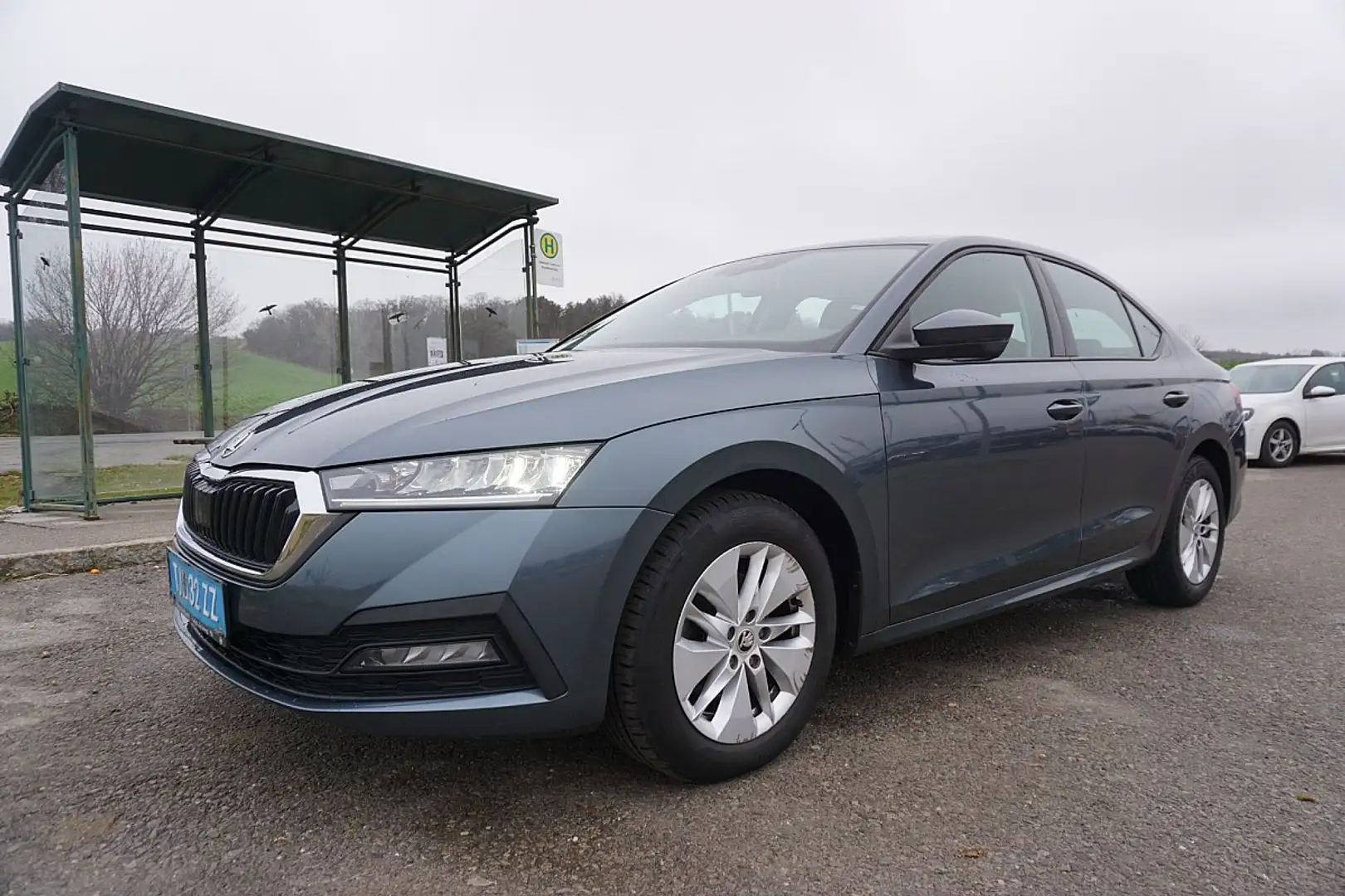 Skoda Octavia 2,0 TDI Business Grau - 2