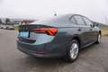 Skoda Octavia 2,0 TDI Business Grau - thumbnail 6