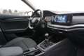 Skoda Octavia 2,0 TDI Business Grau - thumbnail 18