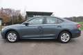 Skoda Octavia 2,0 TDI Business Grau - thumbnail 3