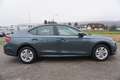 Skoda Octavia 2,0 TDI Business Grau - thumbnail 7