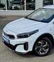 Kia XCeed Xceed 1,6 CRDI 48V Silber MildHybrid - Winterpa... Weiß - thumbnail 7