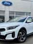 Kia XCeed Xceed 1,6 CRDI 48V Silber MildHybrid - Winterpa... Weiß - thumbnail 4