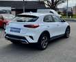 Kia XCeed Xceed 1,6 CRDI 48V Silber MildHybrid - Winterpa... Weiß - thumbnail 13