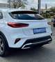 Kia XCeed Xceed 1,6 CRDI 48V Silber MildHybrid - Winterpa... Weiß - thumbnail 9