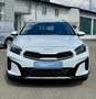 Kia XCeed Xceed 1,6 CRDI 48V Silber MildHybrid - Winterpa... Weiß - thumbnail 11
