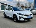 Kia XCeed Xceed 1,6 CRDI 48V Silber MildHybrid - Winterpa... Weiß - thumbnail 12