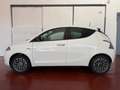 Lancia Ypsilon Ypsilon 1.0 FireFly 5 porte S&S Hybrid Gold Blanc - thumbnail 6