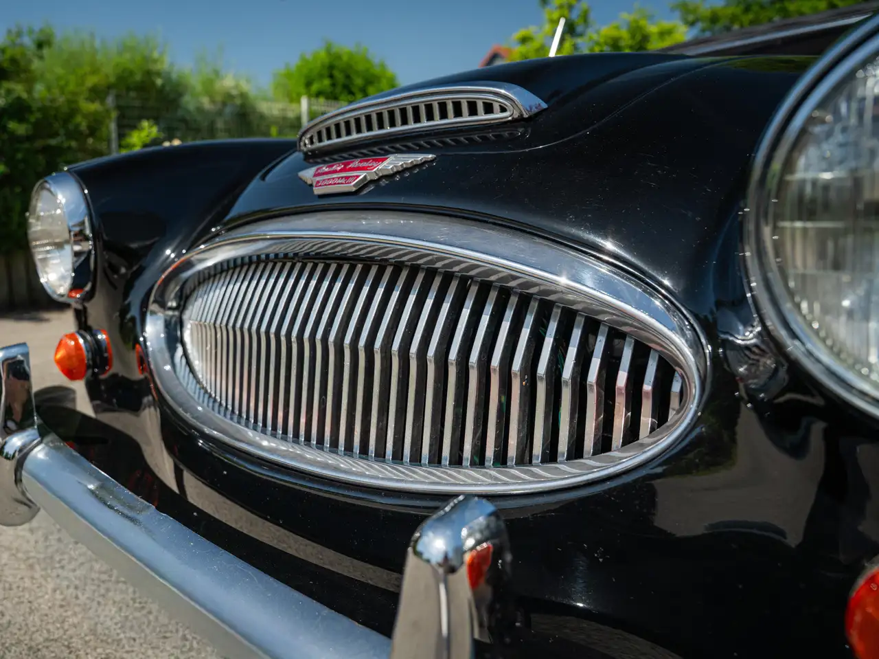 Austin-Healey 3000 Mk III (BJ8), foto 6
