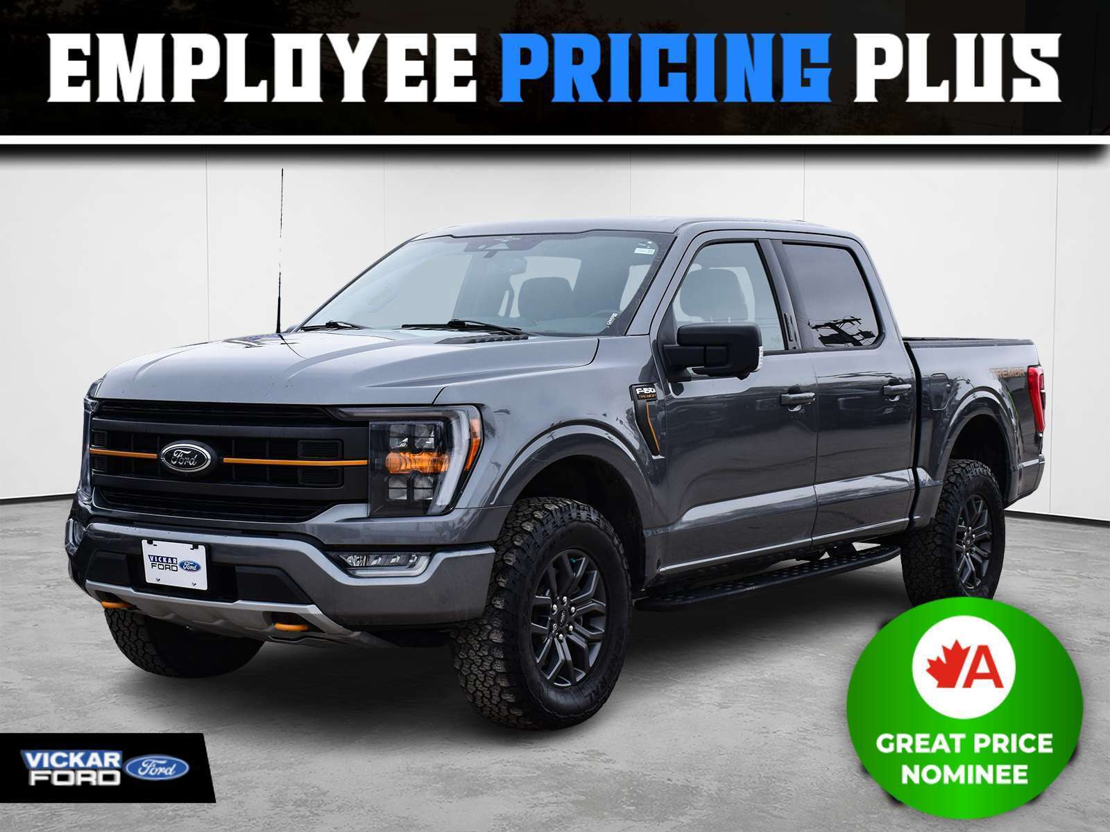 Gray 2023 Ford F-150 Pickup Truck Four-Wheel Drive Automatic