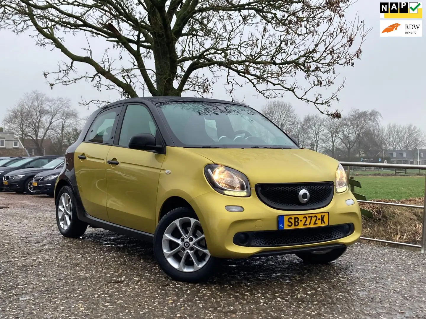 smart forFour 1.0 Business Solution | Cruise + Clima + 45.000 NA Geel - 1
