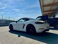 Porsche Cayman 718 Cayman PDK Bianco - thumbnail 9