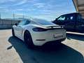Porsche Cayman 718 Cayman PDK Bianco - thumbnail 8