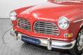 Volvo Amazon B20 LPG Rouge - thumbnail 18