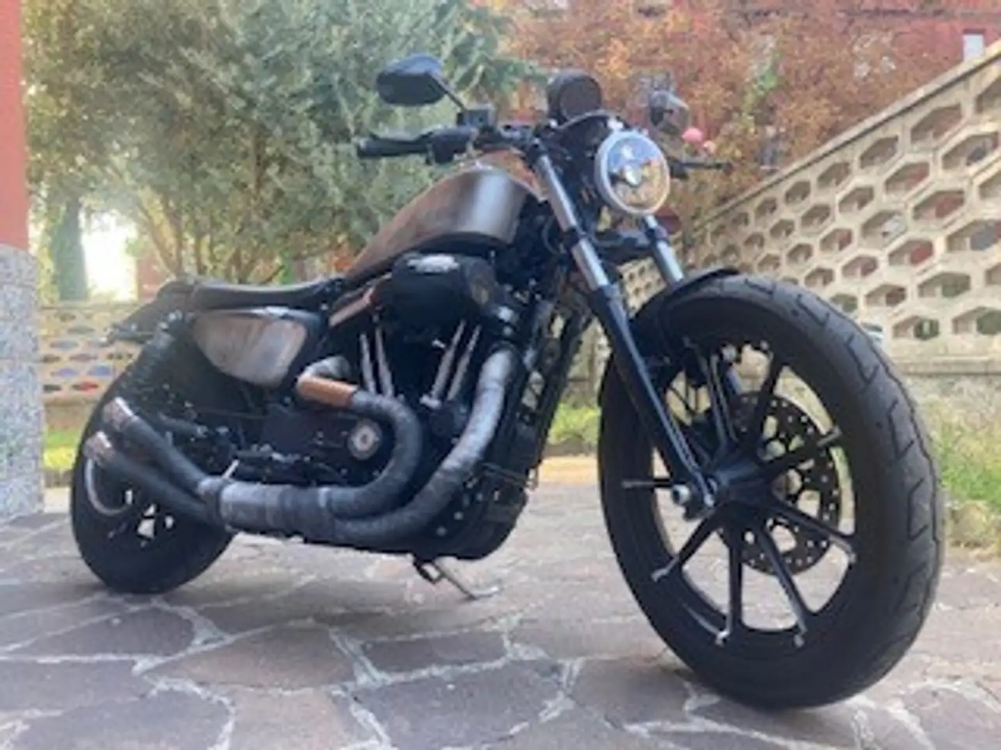 Harley-Davidson Iron 883 Negro - 2