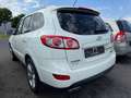 Hyundai SANTA FE Weiß - thumbnail 4