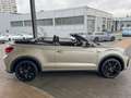 Volkswagen T-Roc Cabriolet 1.5 TSI DSG R-Line Black Style AHK/IQ/R Silber - thumbnail 5
