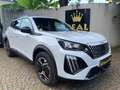 Peugeot 2008 2008 II 2023 1.2 hybrid Allure 145cv e-dcs6 Bianco - thumbnail 1