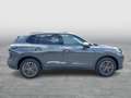 Volkswagen Tiguan Friends eTSI DSG Grau - thumbnail 33