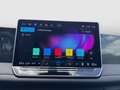 Volkswagen Tiguan Friends eTSI DSG Grau - thumbnail 15